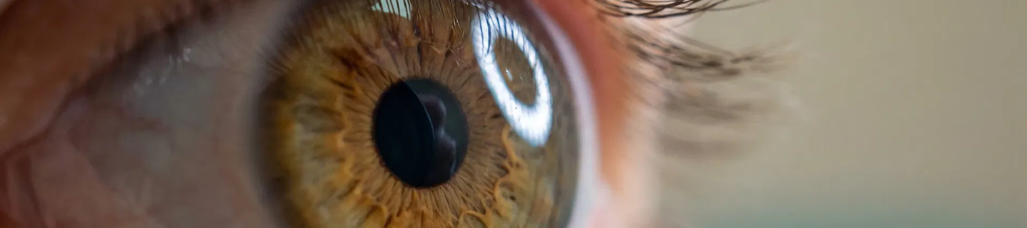 Close-up of a healthy eye and iris